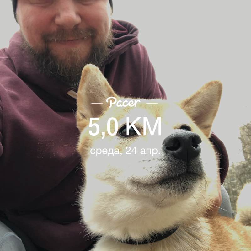 Пал Аркадич post 1