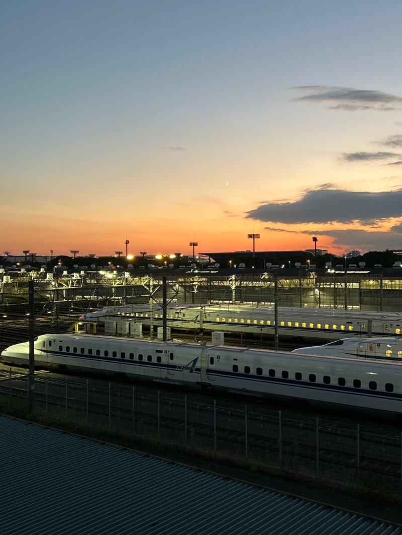 walking near me in Tokyo Wild Bird Park in winter