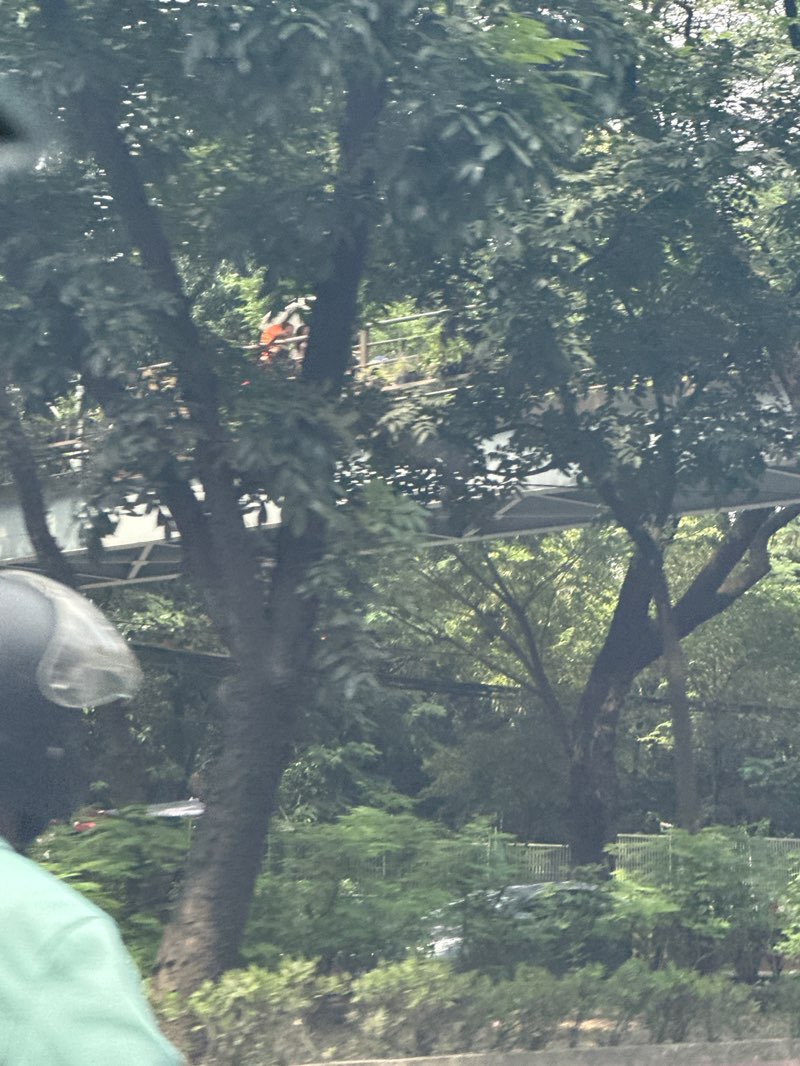 walking near me in Ninoy Aquino Parks & Wildlife Center in autumn