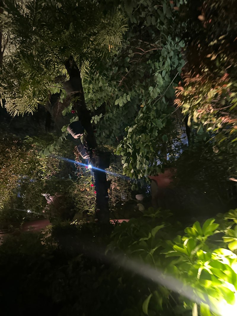 walking near me in Valenzuela People's Park in spring