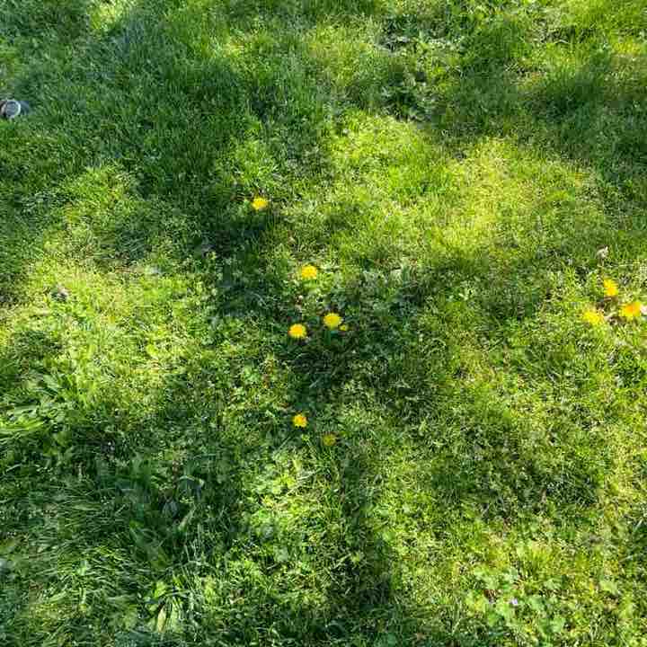 yaquelintobon post 1