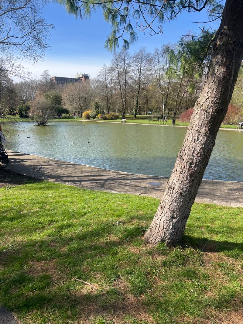 walking near me in Eastrop Park in spring