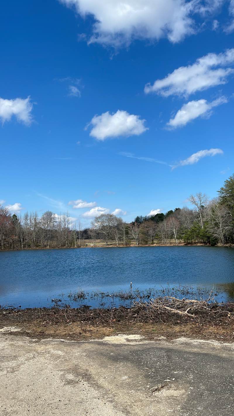 walking near me in Clover Community Park in spring