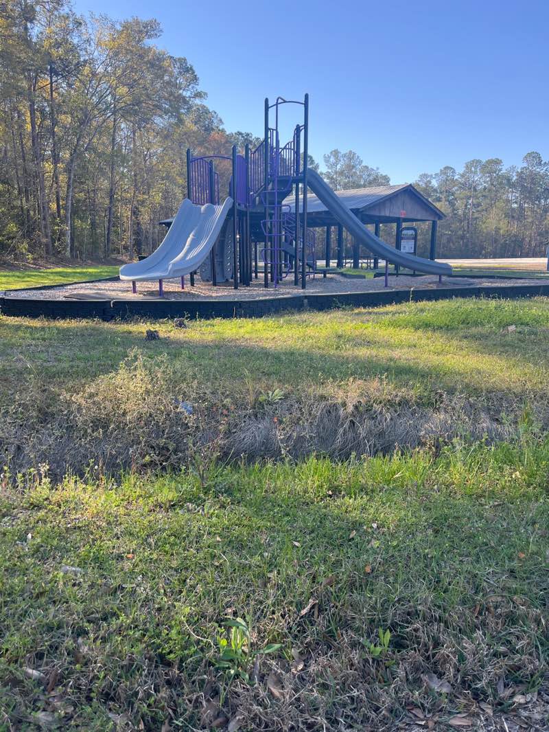 walking near me in Duckworth Park in spring