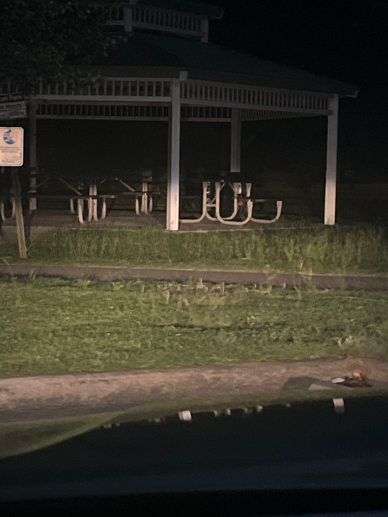 walking near me in Bryan Park in spring