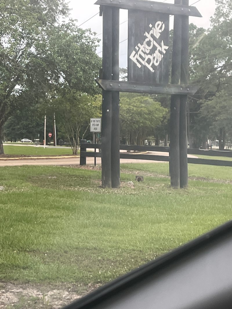walking near me in Fritchie Park in spring