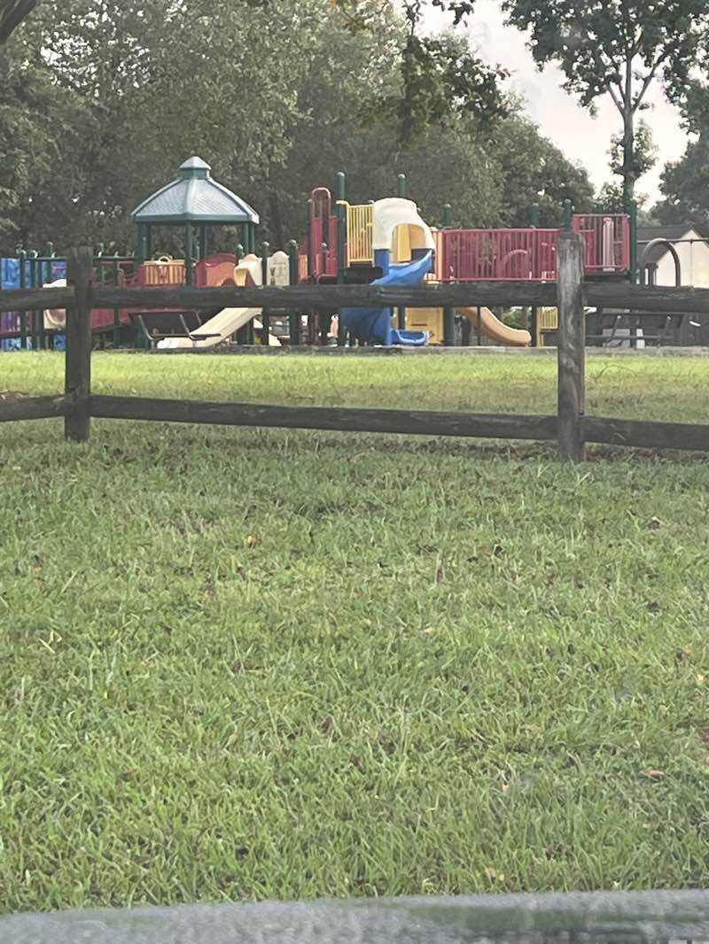 walking near me in Alexandria Park in autumn