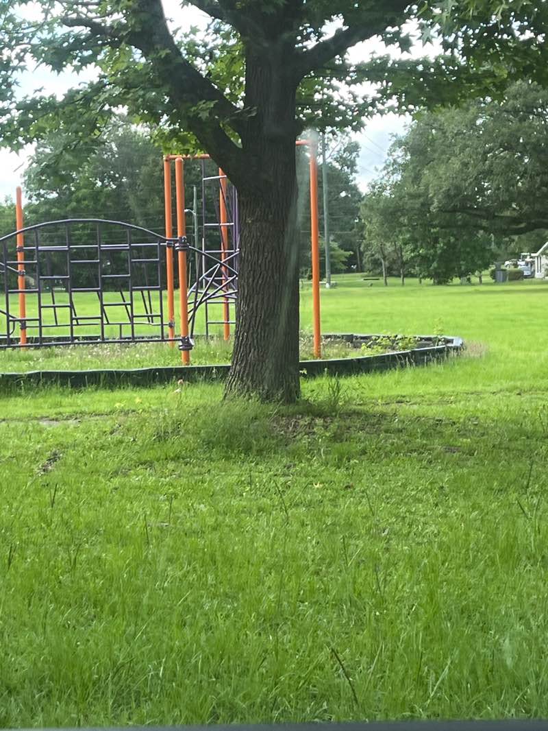 walking near me in Grove Park in summer