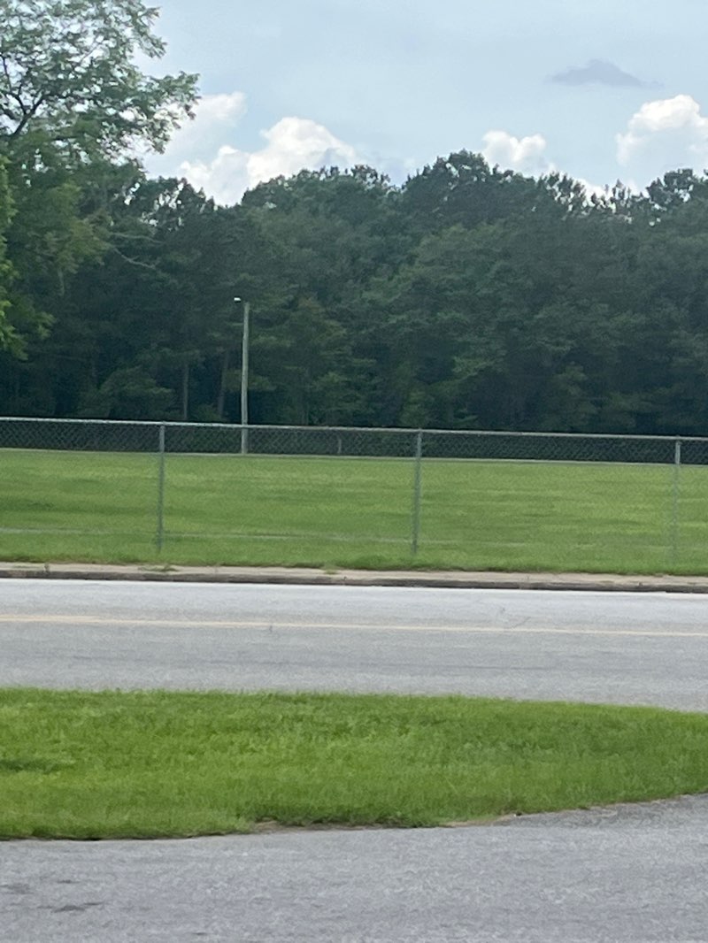 walking near me in Martin Luther King Jr. Park in summer