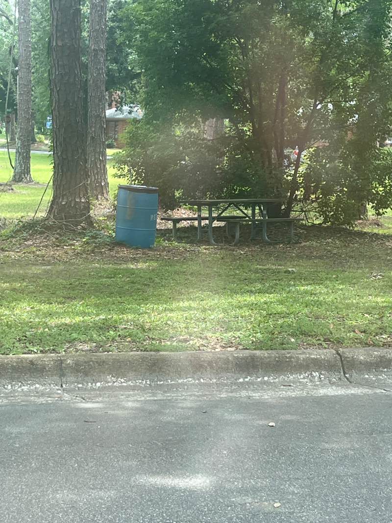 walking near me in Rawson Circle Park in summer