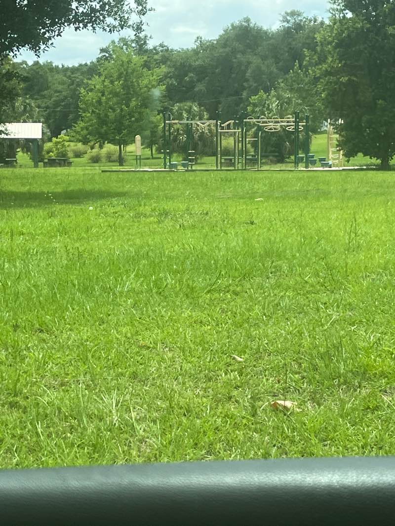 walking near me in Tift Park in summer