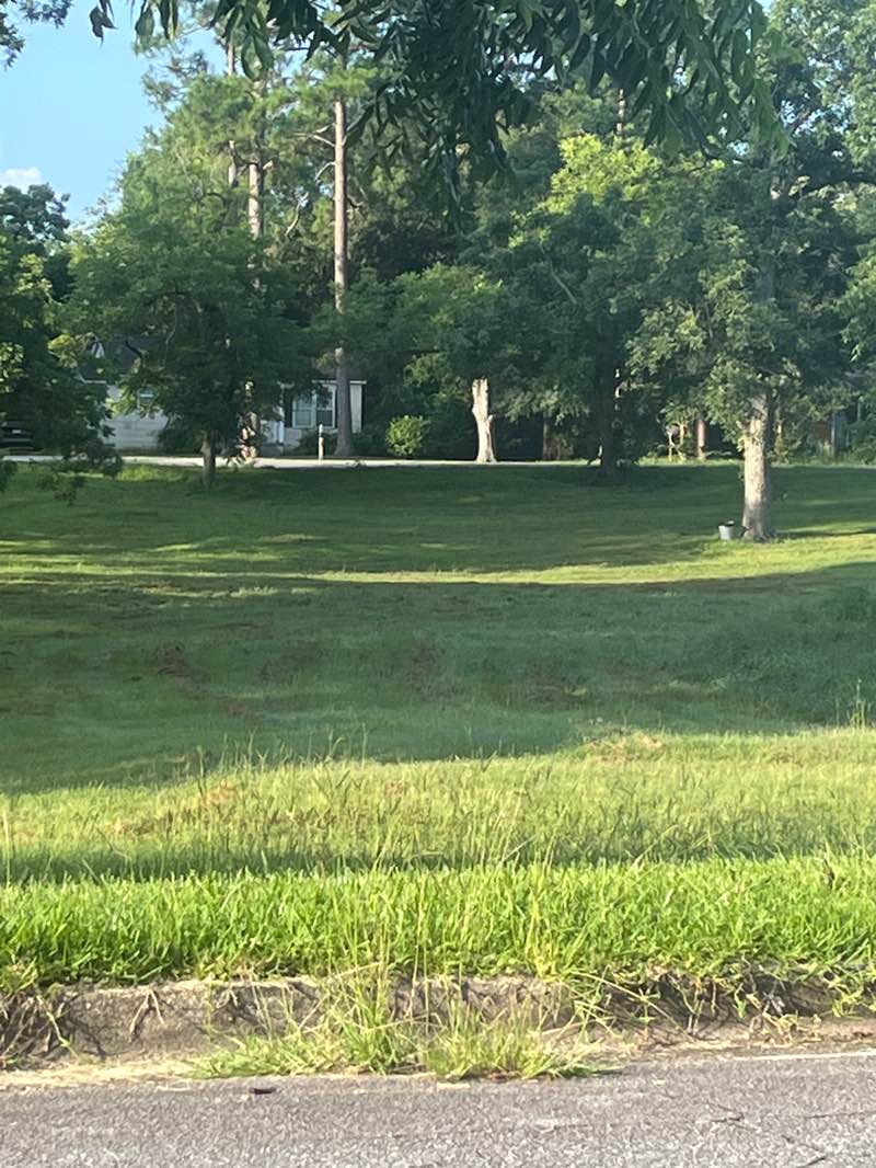 walking near me in Shadowlawn Park in summer