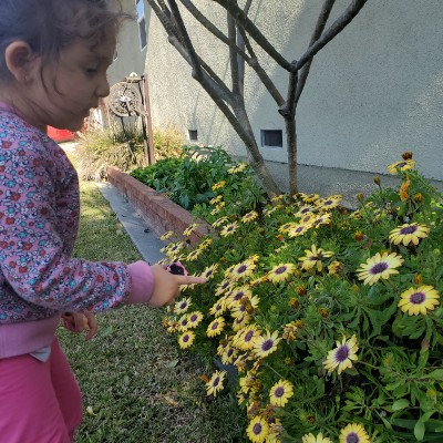 Vanessa Ramirez post 2