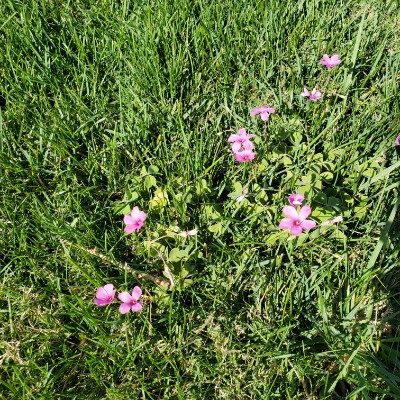 Vanessa Ramirez post 1