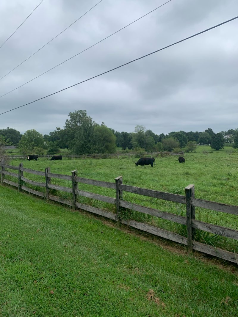 walking near me in Franklin Park in autumn