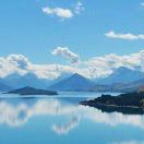 🌻向日葵🇨🇳