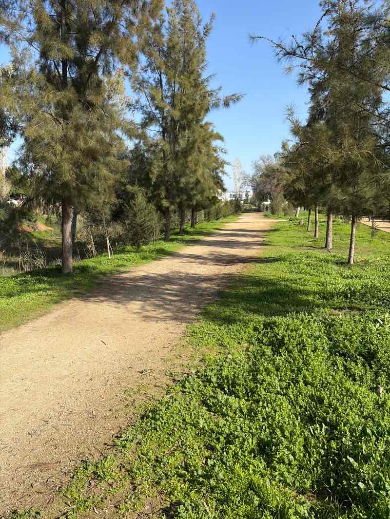 walking near me in Grammiko Pt2 in winter