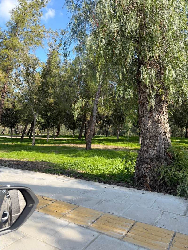 walking near me in Pediaios Anthoupolis Park in winter