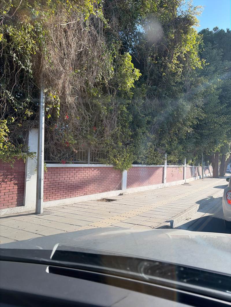 walking near me in Engomi Park in spring