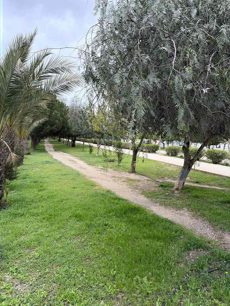 walking near me in Grammiko Pt3 in spring