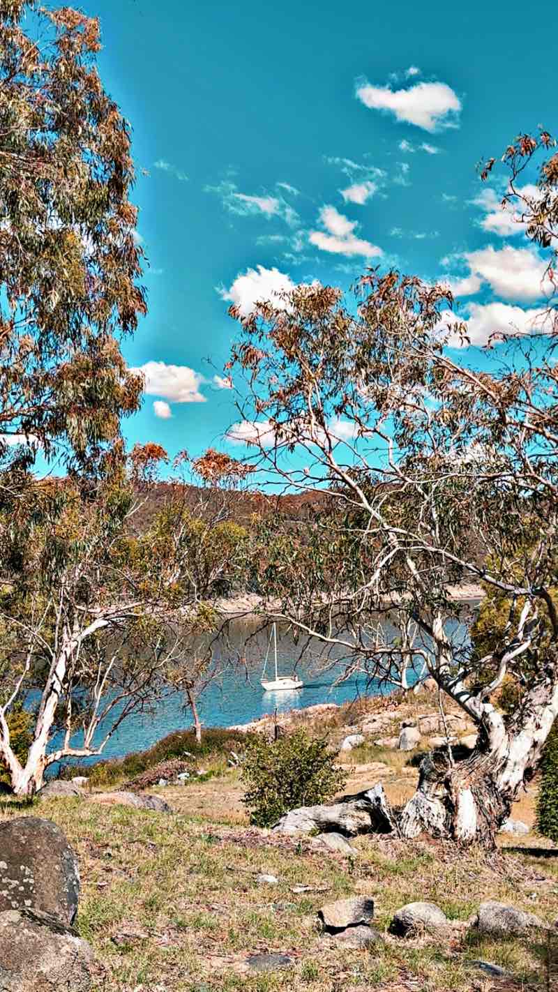 walking near me in Banjo Paterson Park in summer