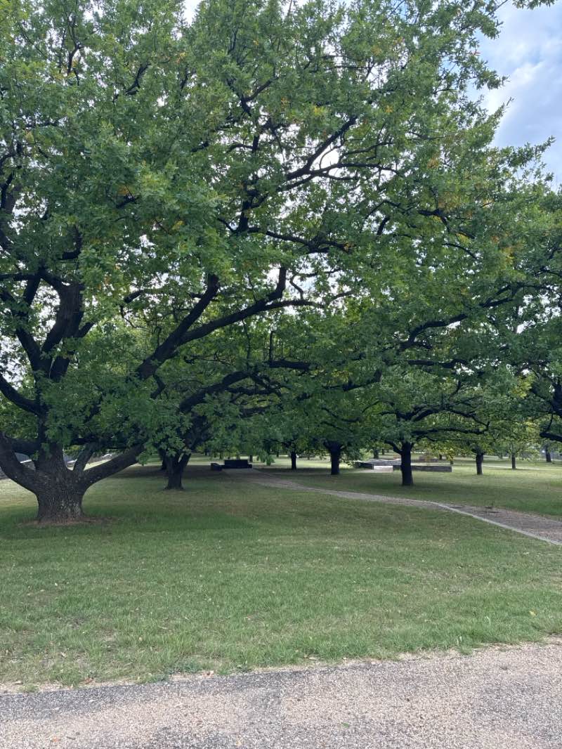 walking near me in Kings Park in autumn