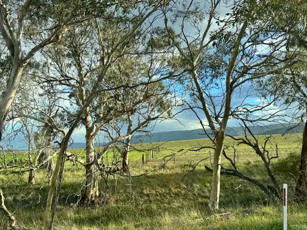 walking near me in Berridale Lions Park in autumn