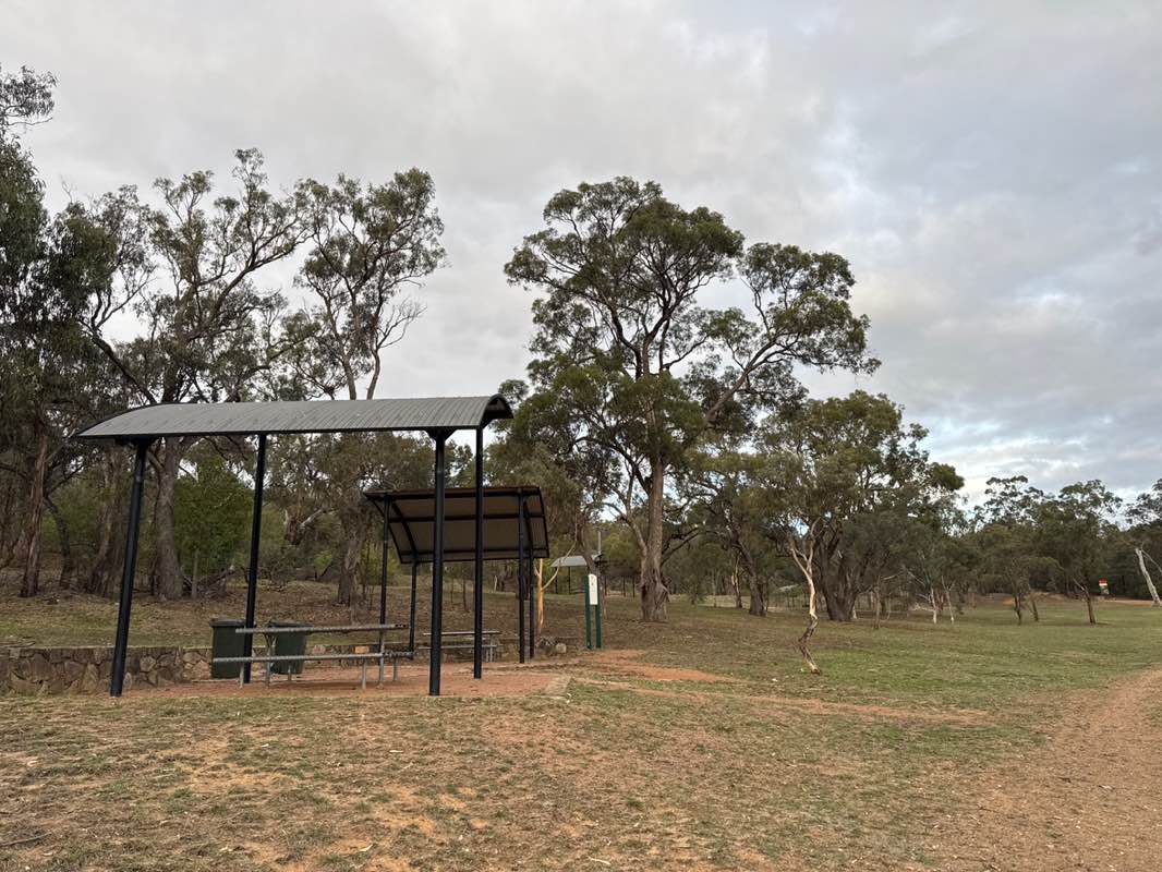 walking near me in Remembrance Nature Park in summer