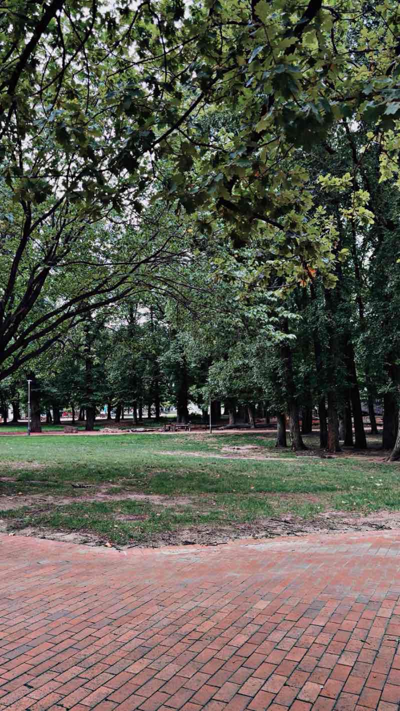 walking near me in Glebe Park in autumn