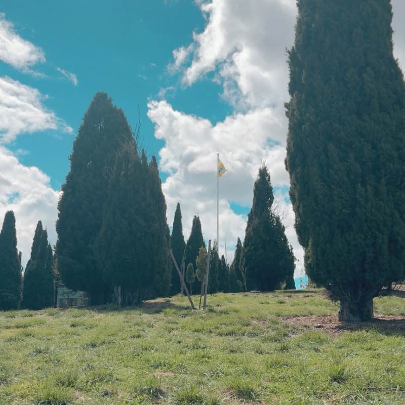 shival chandra post 1