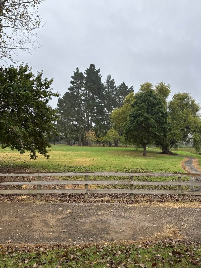 walking near me in Pohutakawa Park in autumn