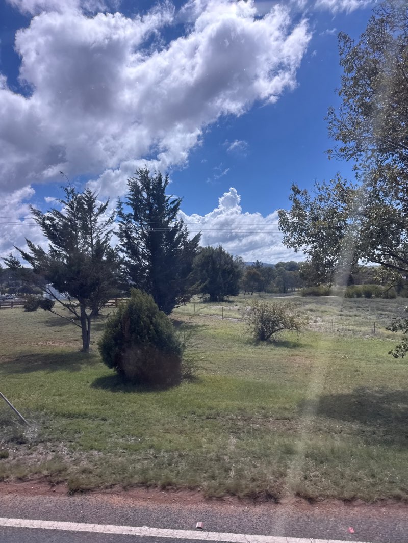 walking near me in Kosciuszko Park in autumn