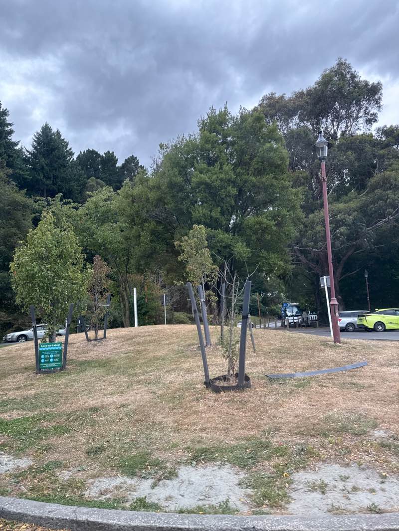 walking near me in Saint Omer Park in autumn