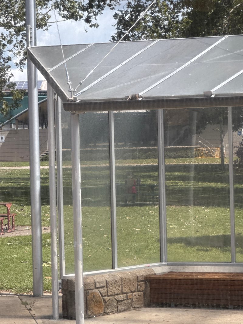 walking near me in Centenial Park in autumn