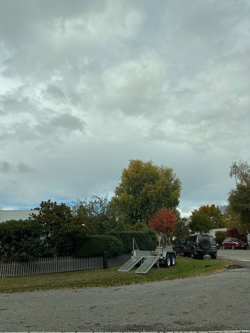 walking near me in Reed Park in autumn