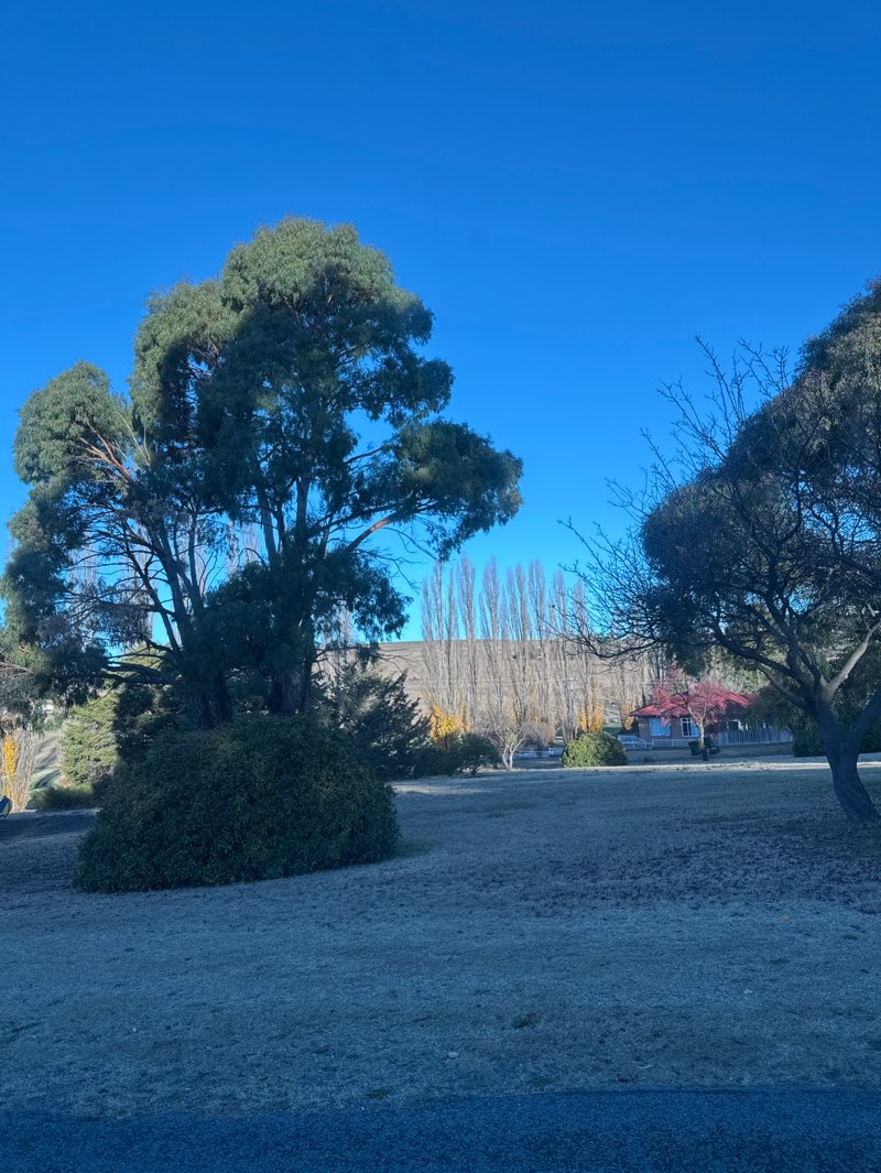 walking near me in Lions Park in autumn