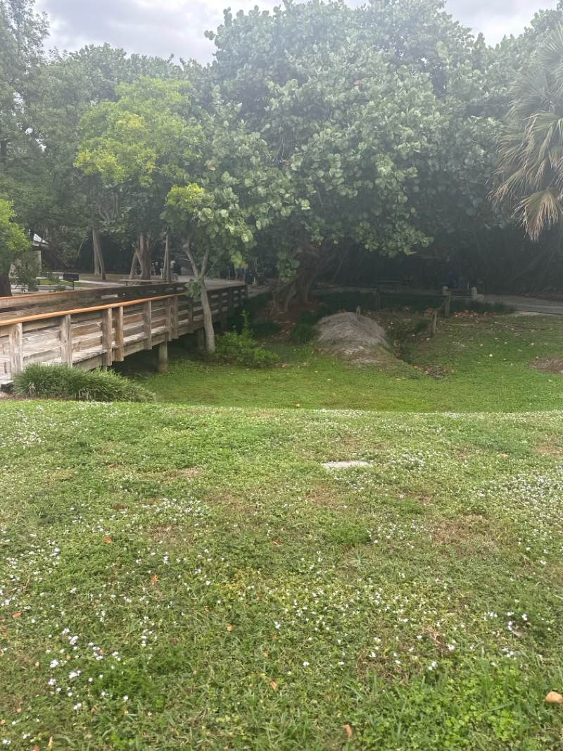 walking near me in Rivera Beach Bicentennial Park in autumn