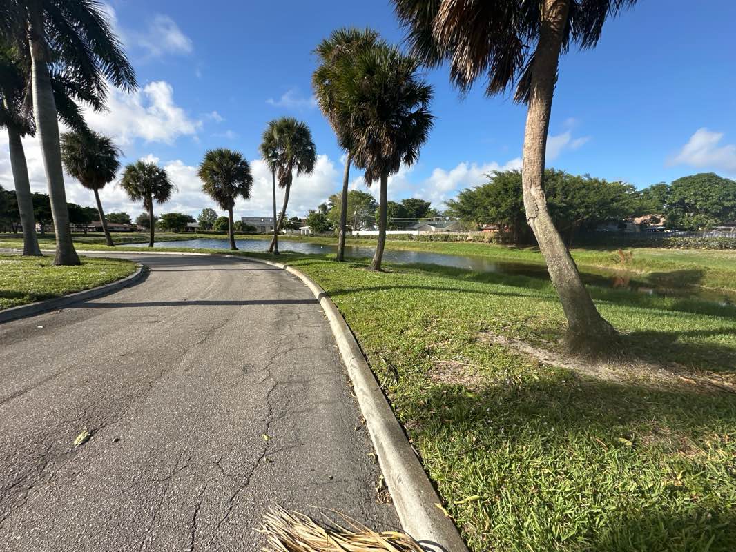 walking near me in Currie Park in autumn