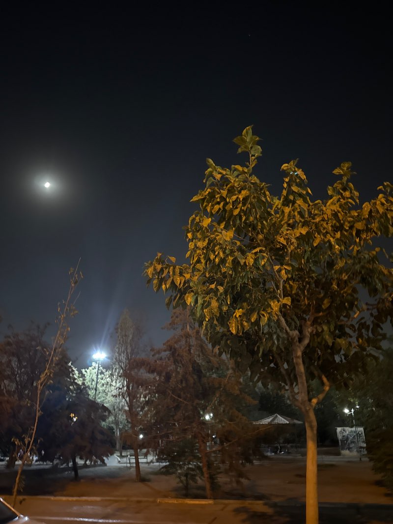 walking near me in Elham park in autumn