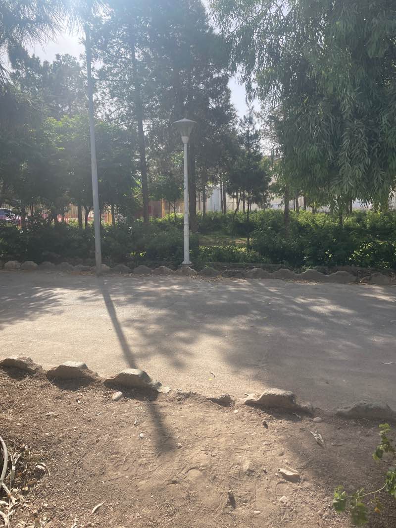 walking near me in Azadegan Park in summer