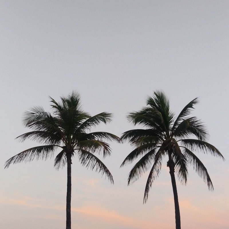 Камаль profile