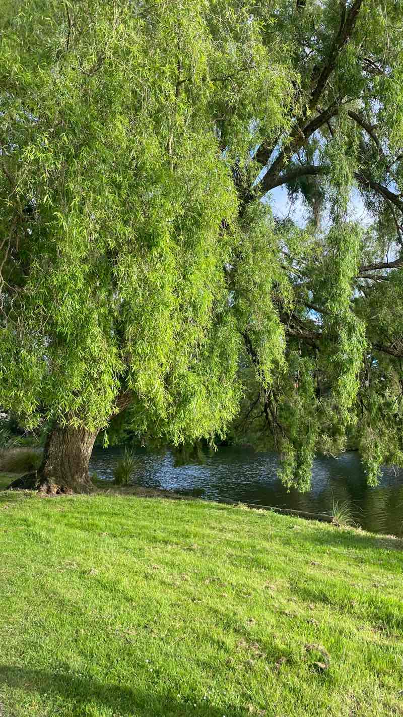 walking near me in Victoria Esplanade in summer