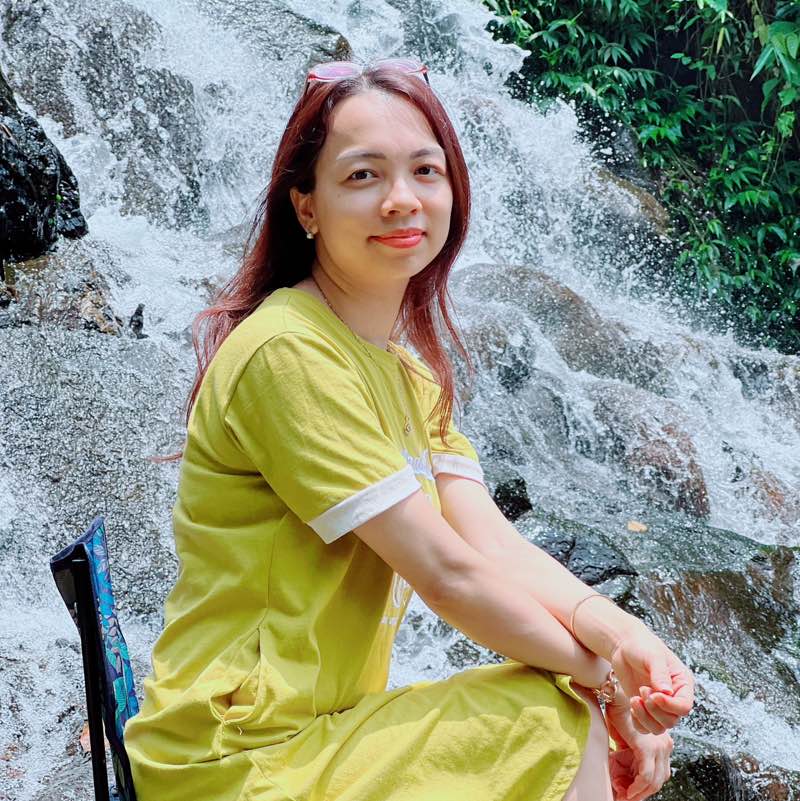 Hải Vân profile