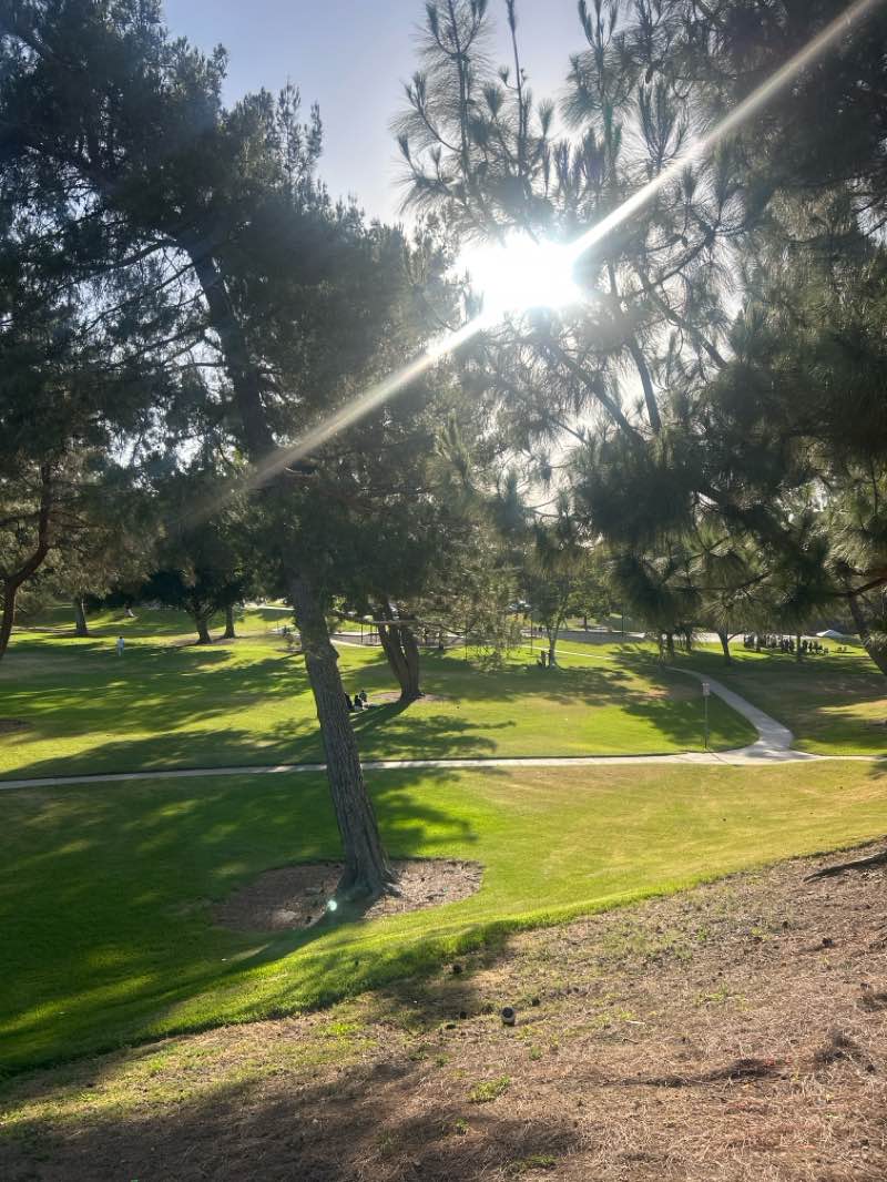 walking near me in Brentwood Park in summer