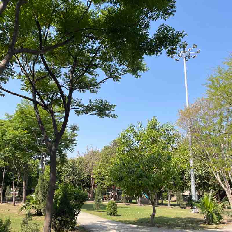 Rahul Vashisht post 1