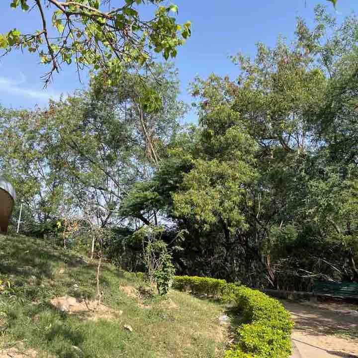 Rahul Vashisht post 1
