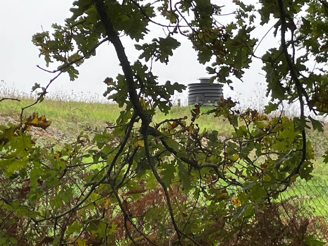 walking near me in Parc des Gayeulles in winter