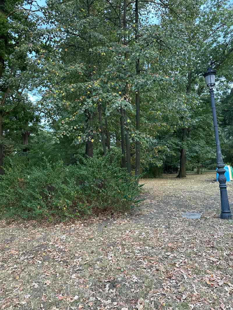 walking near me in Парк Евлоги Георгиев in autumn