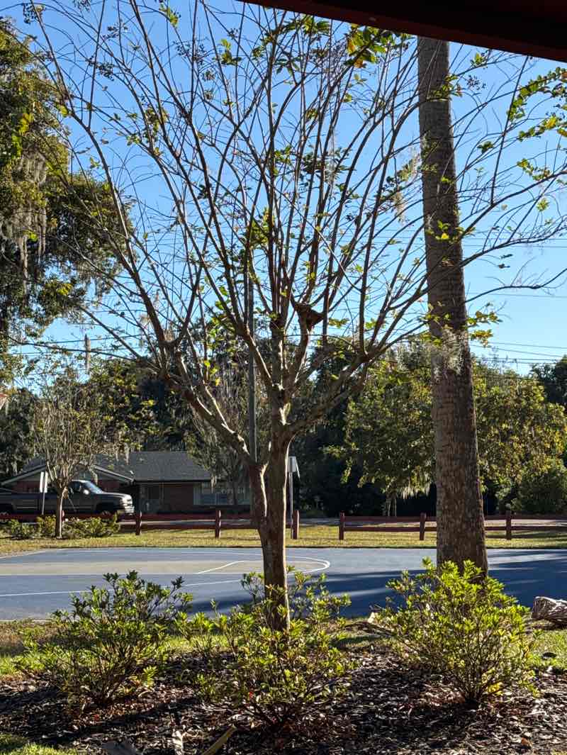 walking near me in Nye Jordan Park in autumn