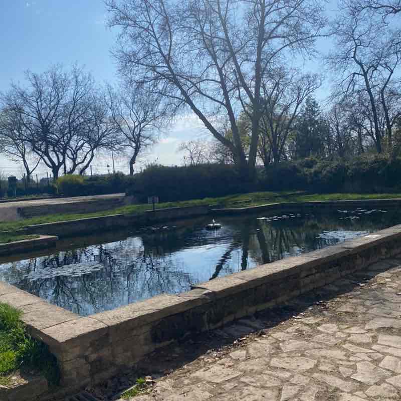 🍓🇨🇭Judit Gasser 🏝️🇭🇺🌹 post 2